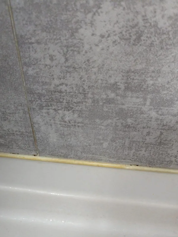 bathroom-seal-before-cleaning