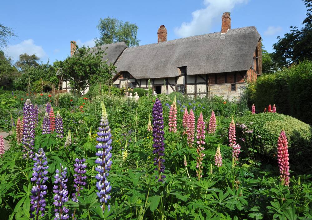 french country cottage garden