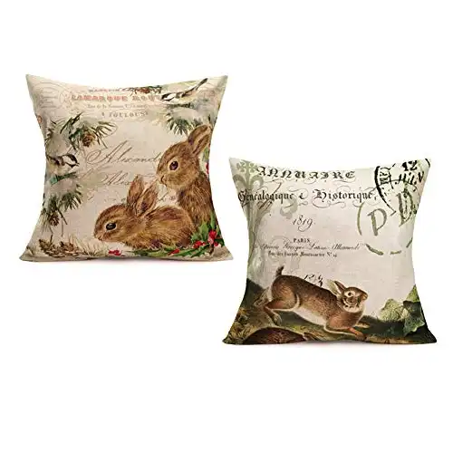 Smilyard Vintage France Paris Style Throw Pillow Covers Lovely Animal Rabbit Bird Decorative Pillow Covers Set of 2 18x18 Inch Cotton Linen Cushion Case Cover Home Decor Pillowcase (Bunny 2 Pack)