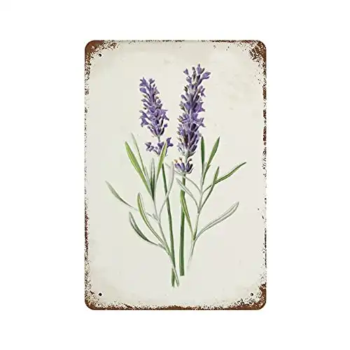 JPKIROZR retro purple Lavender Flower Art Painting tin sign metal poster wall plaque decoration bar cafe home garage cave club garden Funny plant minimalist decor, white-style-5, 11.8Inx7.9In