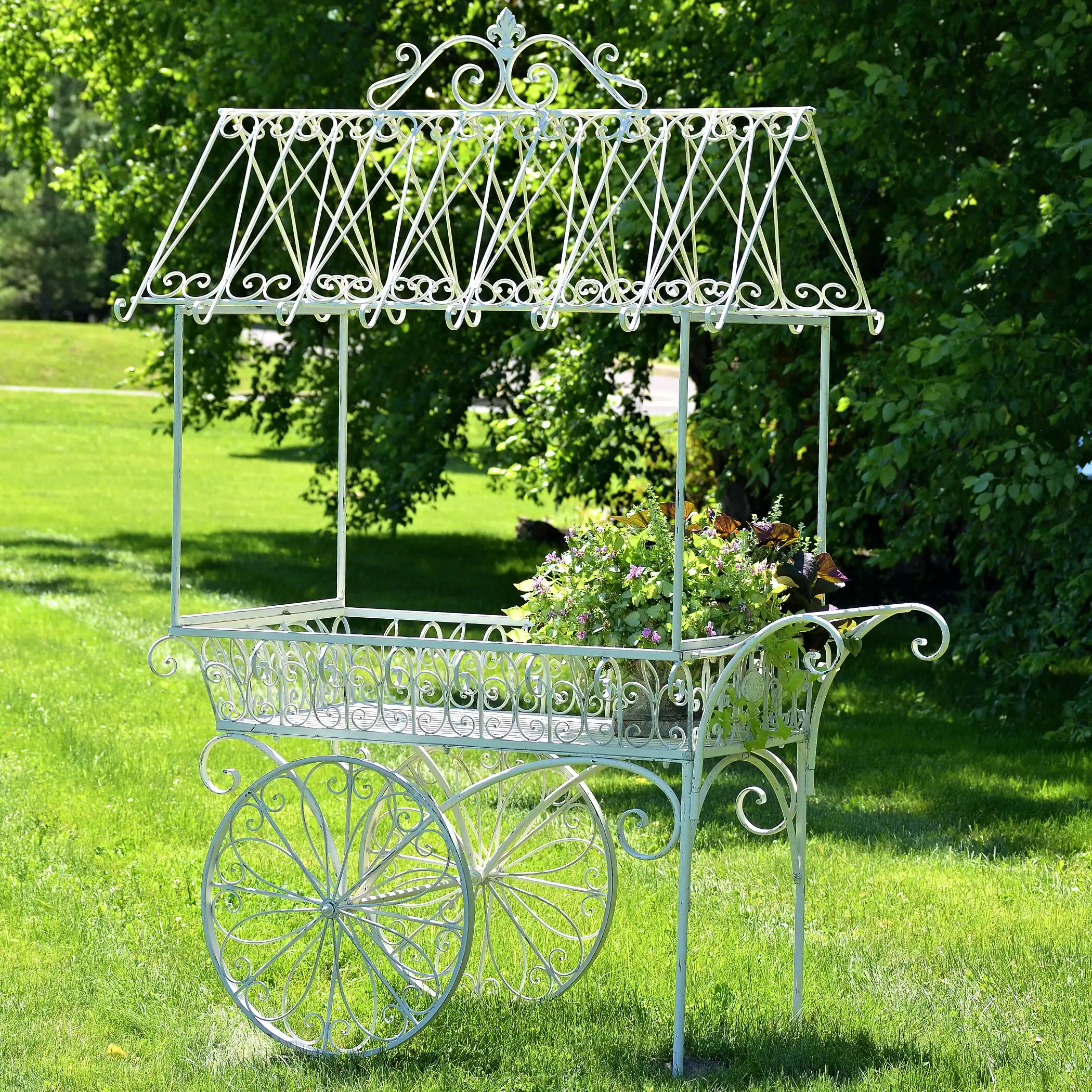 One Allium Way Sherborne Antique Flower "Paris 1968" Plant Stand | Wayfair