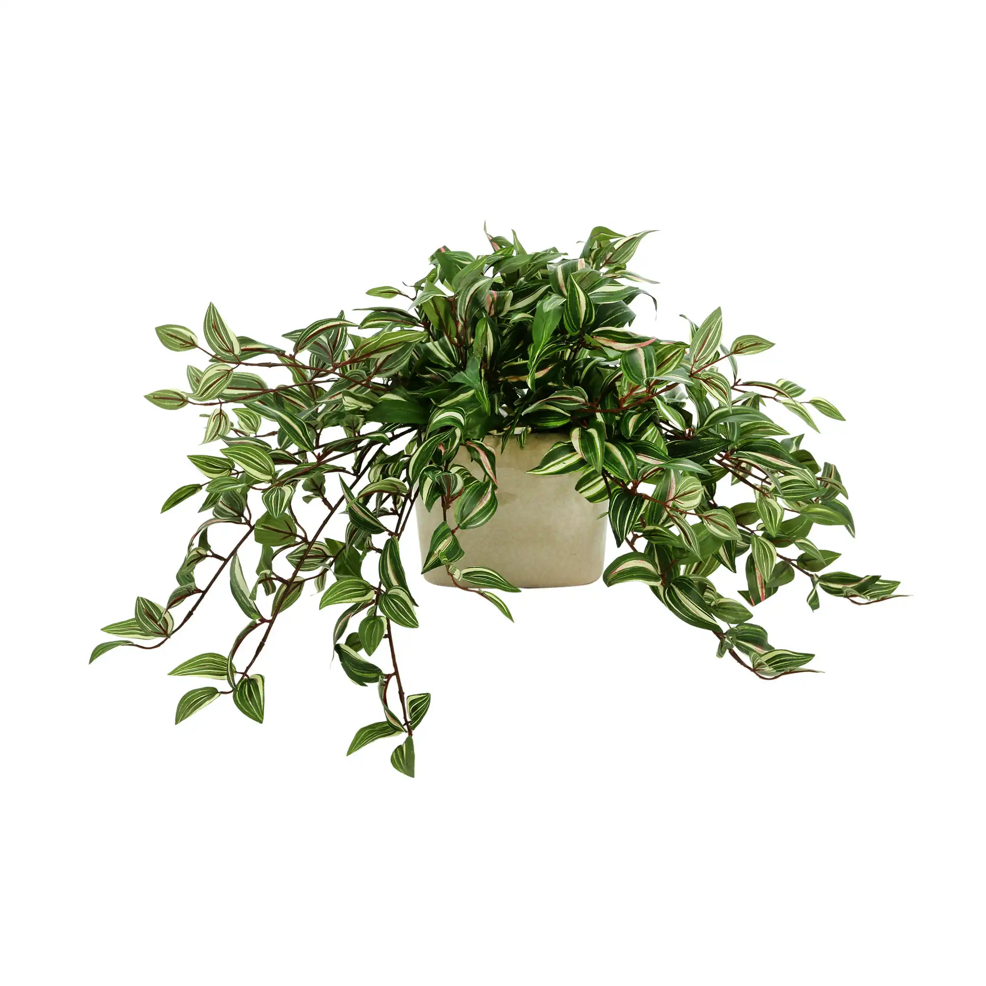 Freeport Park® Karas Faux Tradescantia Plant in Ceramic Vase & Reviews | Wayfair