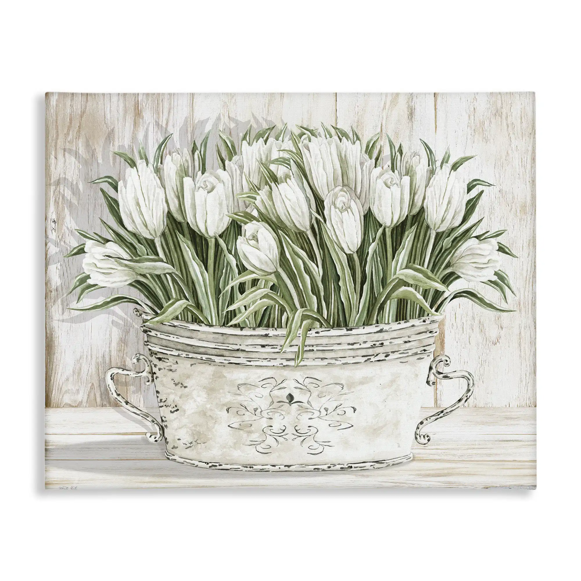 Stupell Industries White Tulip Flowers Fresh Vintage Country Tin Painting Canvas Wall Art by Cindy Jacobs & Reviews | Wayfair