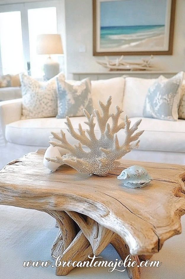 rustic farmhouse coastal living room design