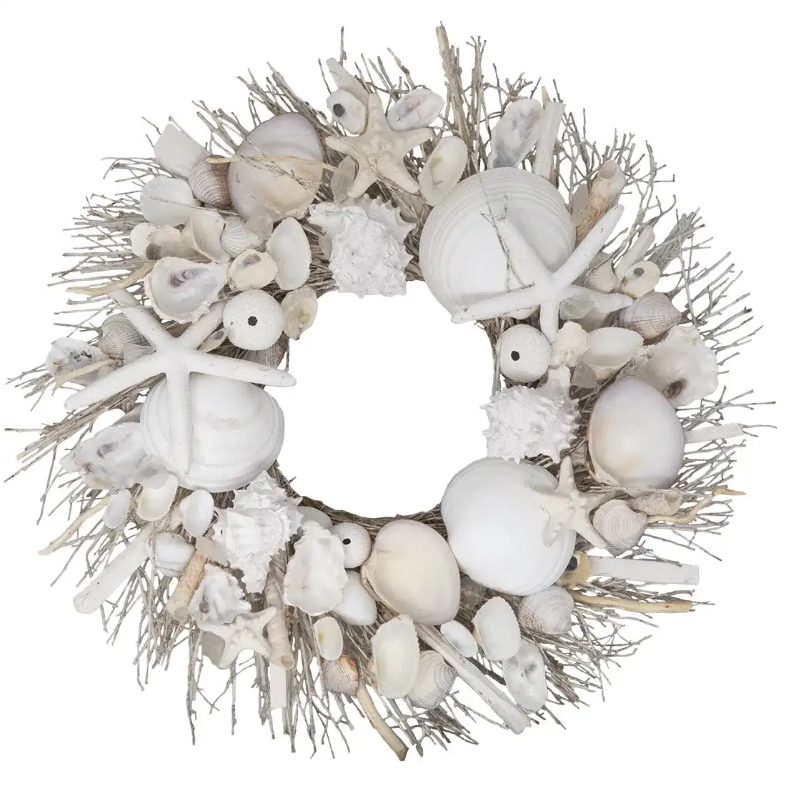 Highland Dunes Preserved 20" Shell Wreath & Reviews | Wayfair