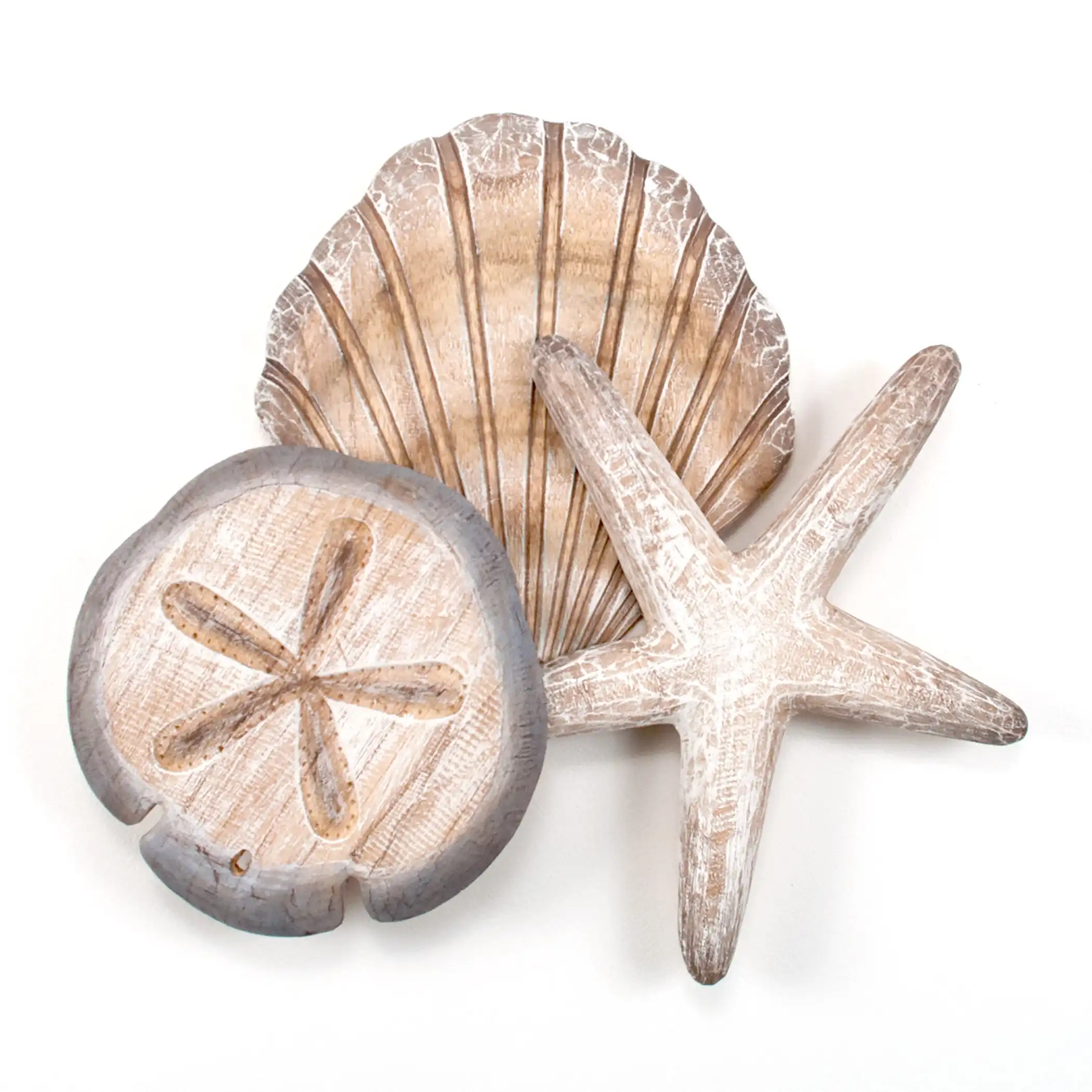 Rosecliff Heights Shell 1 Wood Wall Décor & Reviews | Wayfair