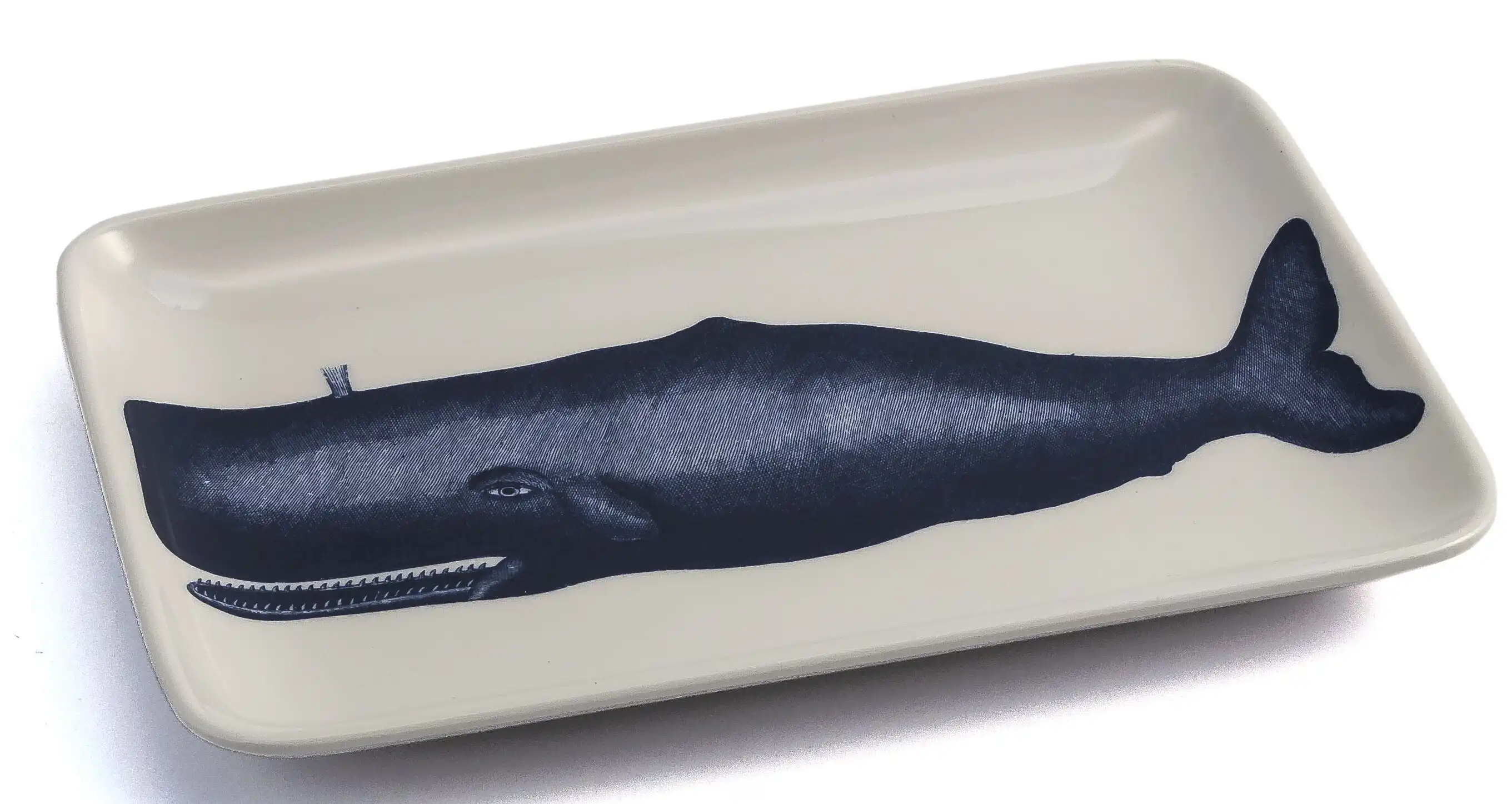 Thomas Paul Whale Soap Dish & Reviews | Wayfair