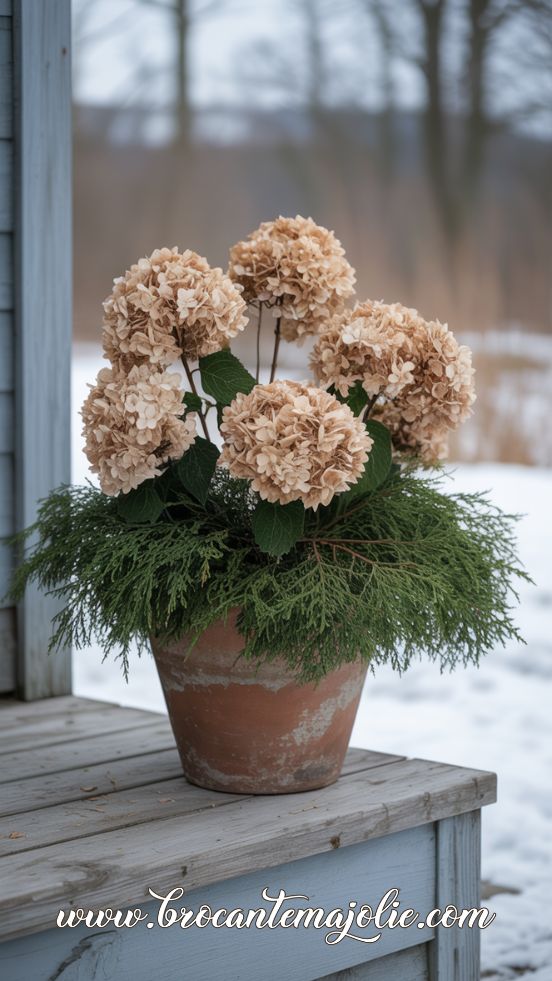 Dried Hydrangea Winter Pot for the Porch