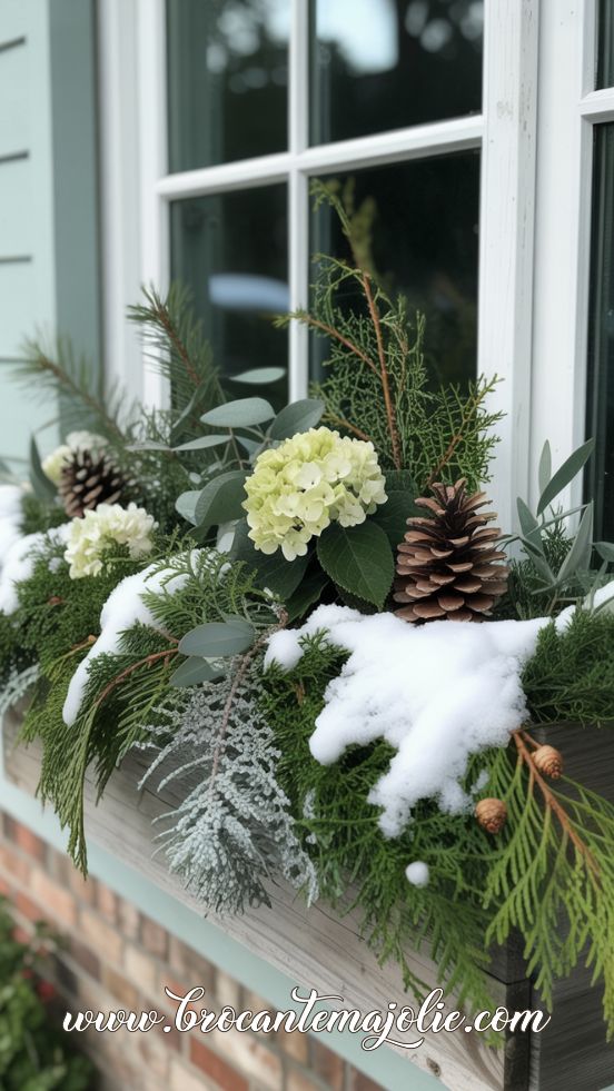 Snow-Covered Evergreen Window Box with Hydrangeas