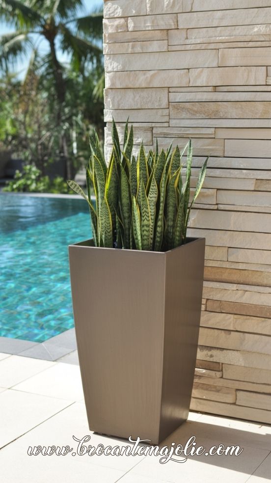 poolside planter ideas