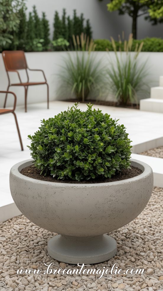 concrete outdoor planter